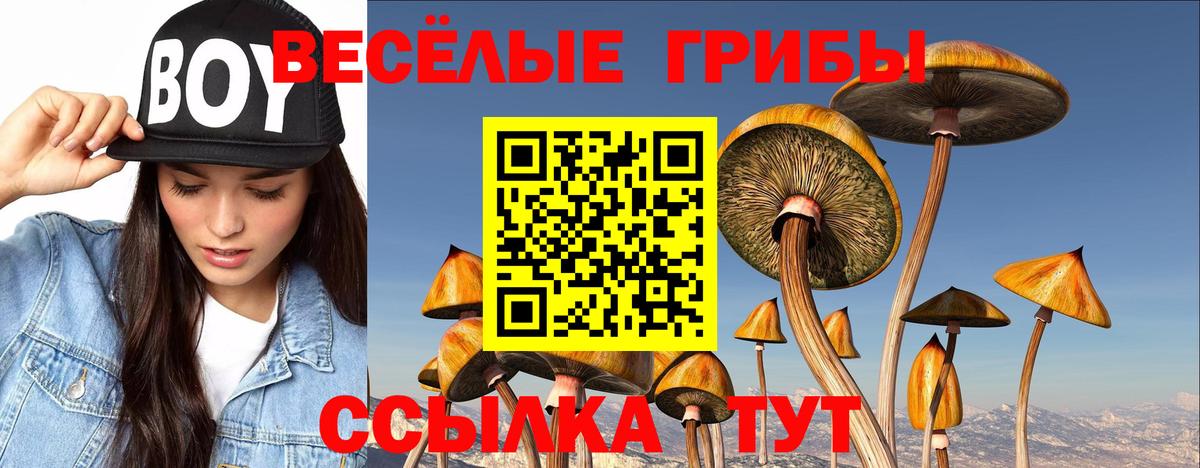Псилоцибиновые грибы Magic Shrooms Черногорск