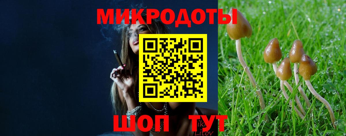 Черногорск  Псилоцибиновые грибы Cubensis  Вход с VPN  Галлюциногенные грибы ЛСД 
